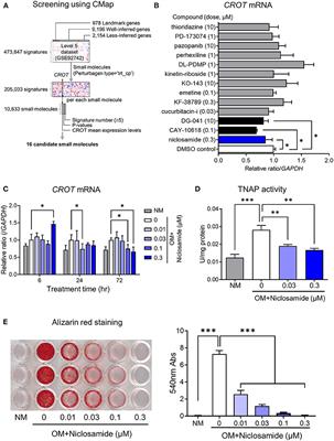 Computational Screening Strategy for Drug Repurposing Identified Niclosamide as Inhibitor of Vascular Calcification